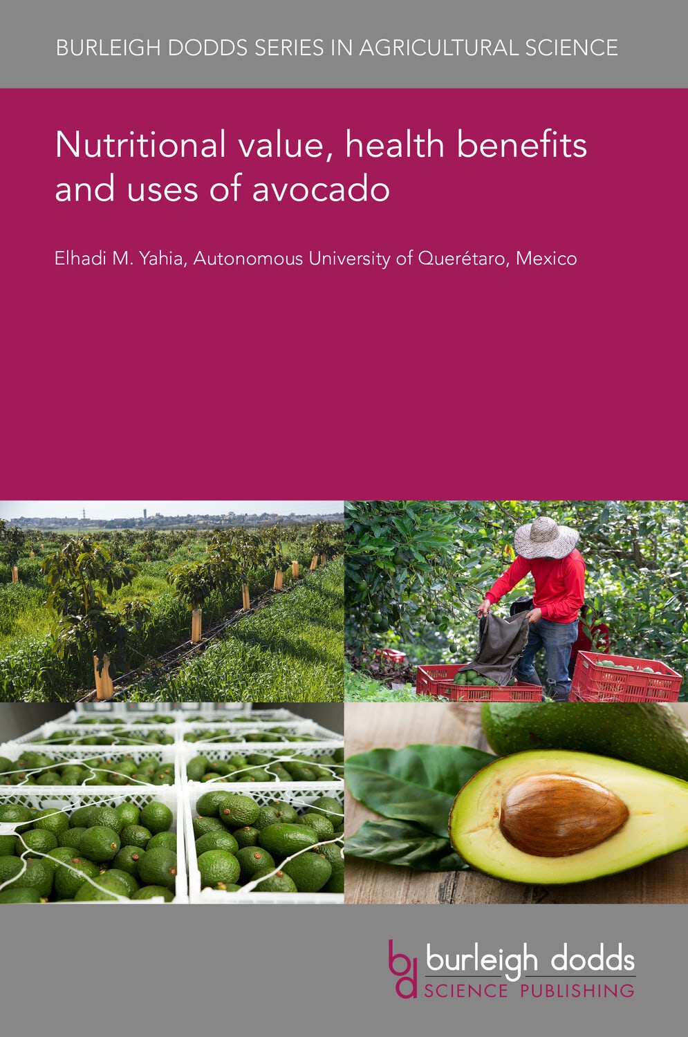 Book cover image for Nutritional value, health benefits and uses of avocado ISBN: 9781801468244